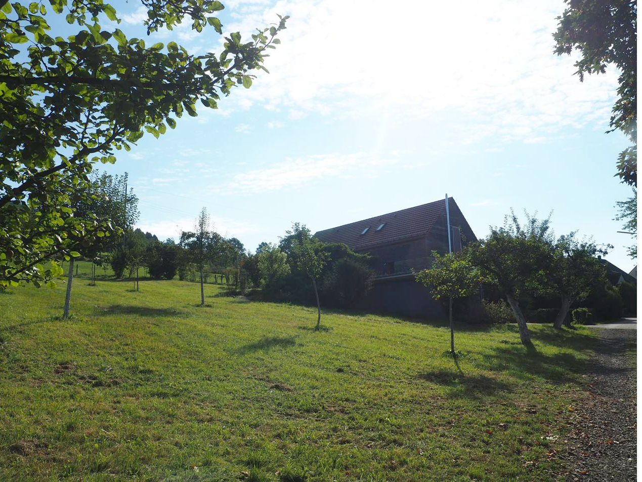 Blick von der Streuobstwiese auf das Ferienhaus Reich