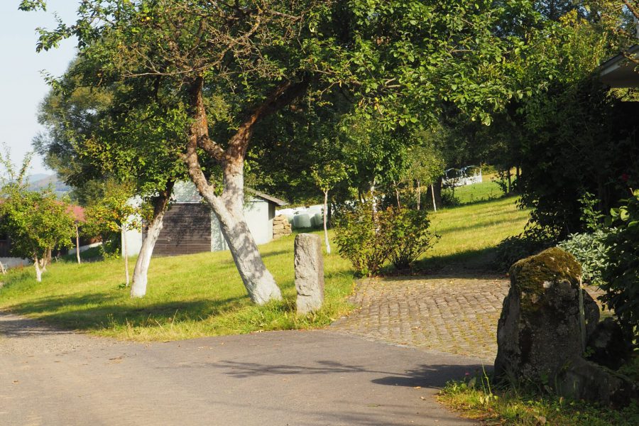 Ferienhaus Reich Blick von der Einfahrt